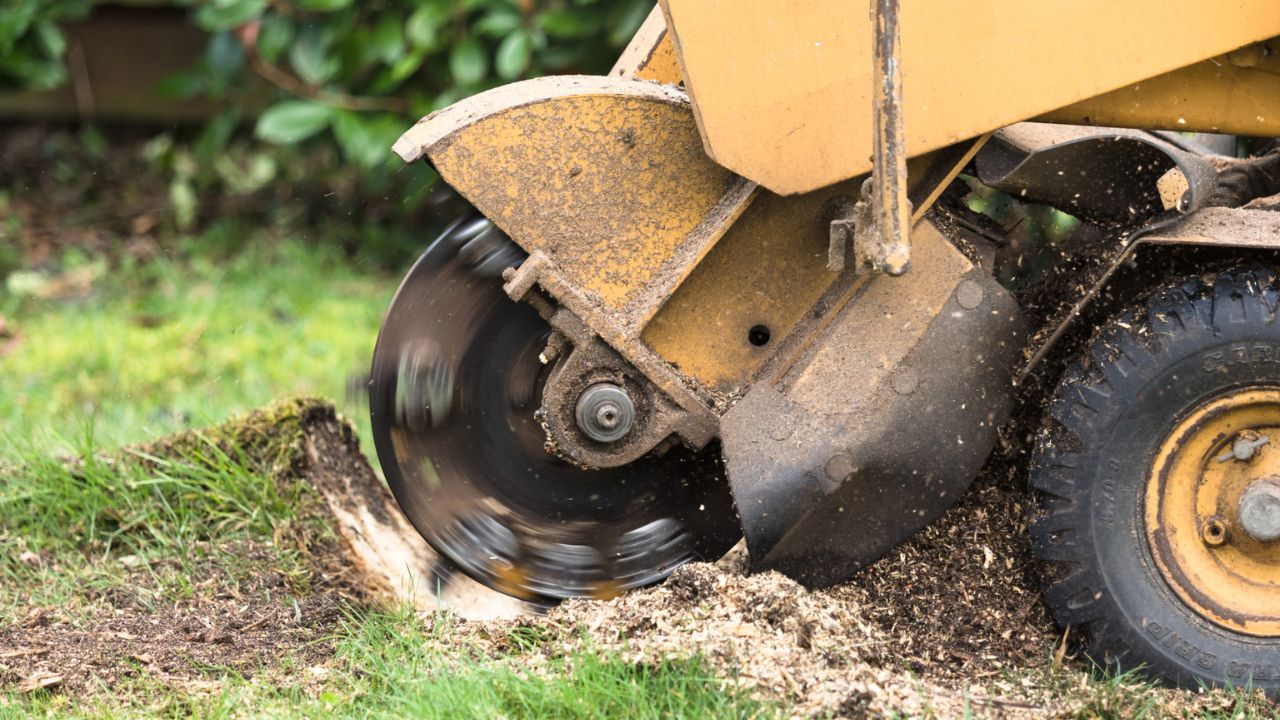 What Sets JYF Machinery's Stump Grinder Parts Apart from Competitors?